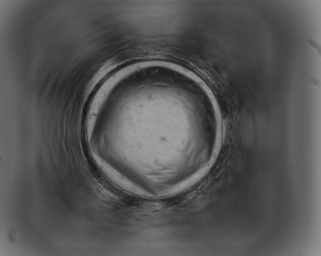 X0000092210195200710121136