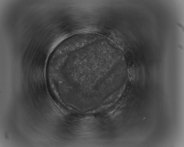 X0000092210196200710121136