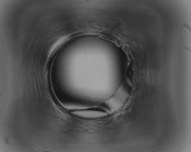 X0000092210197200710121136