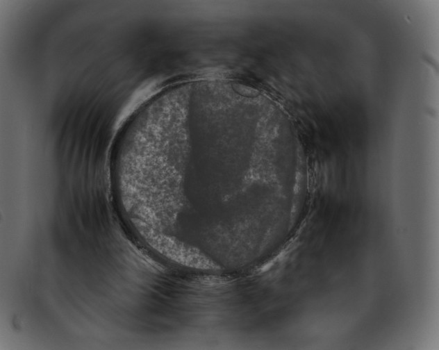 X0000092210198200710121136