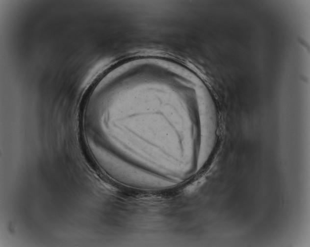X0000092210199200710121136