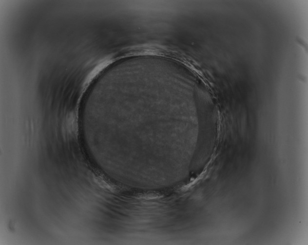 X0000092210200200710121136