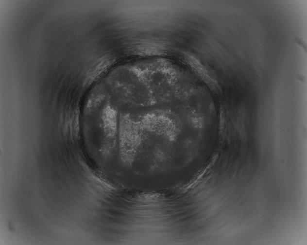 X0000092210202200710121136