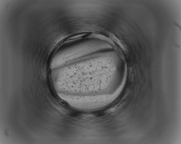 X0000092210203200710121136