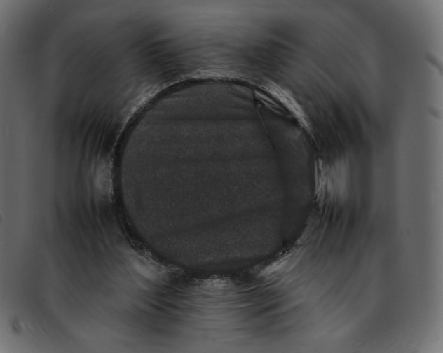 X0000092210204200710121136