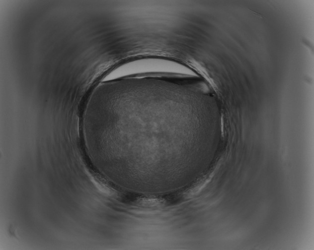 X0000092210205200710121136