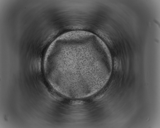 X0000092210206200710121136
