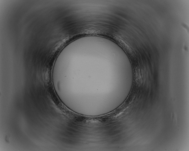 X0000092210208200710121136