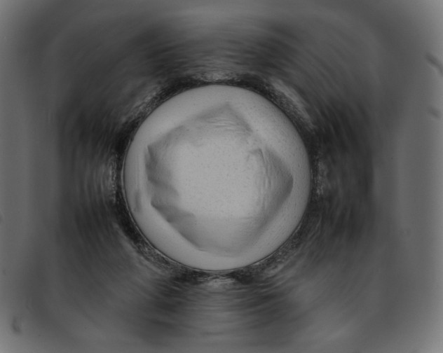 X0000092210210200710121136