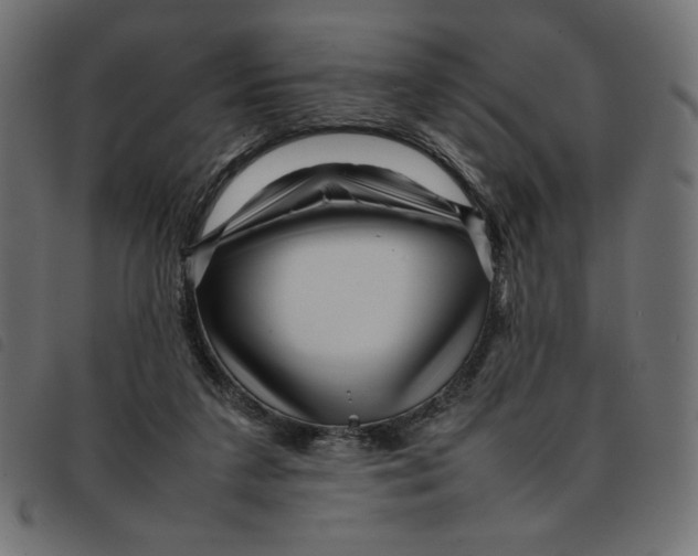 X0000092210211200710121136