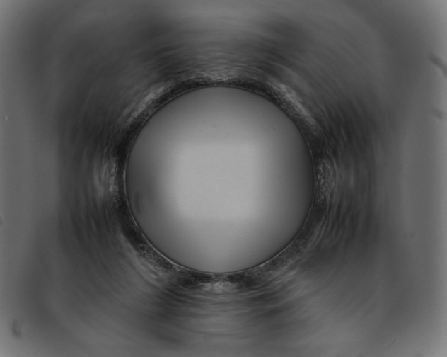 X0000092210212200710121136