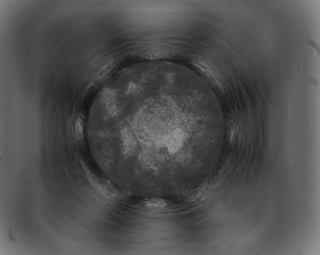 X0000092210214200710121136