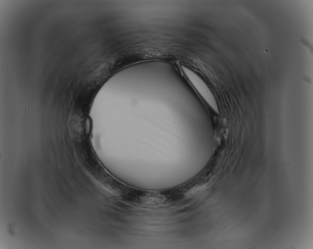 X0000092210215200710121136