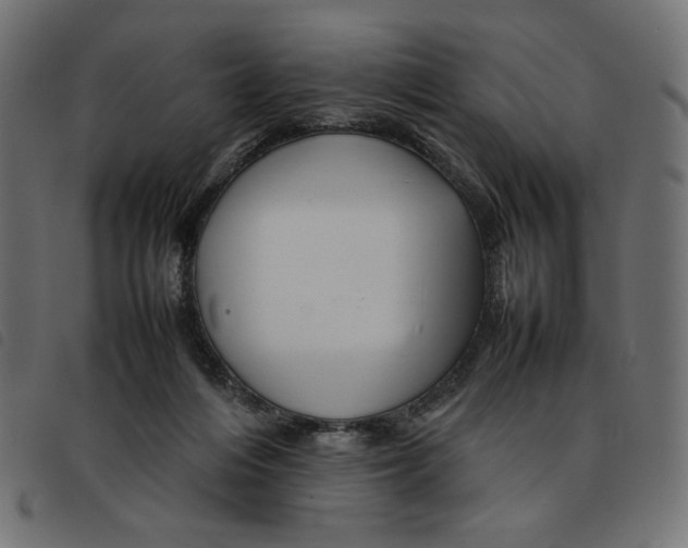 X0000092210216200710121136