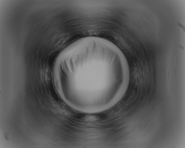 X0000092210218200710121136