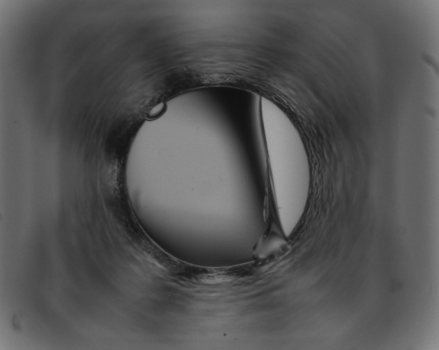 X0000092210219200710121136