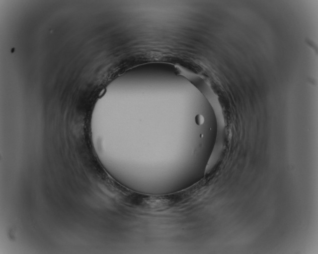 X0000092210221200710121136