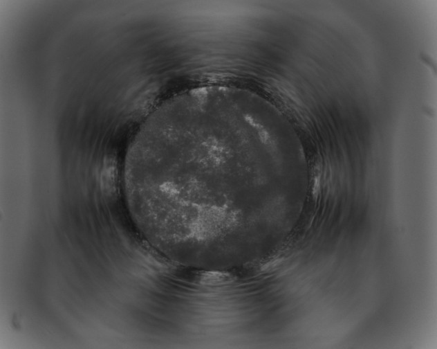 X0000092210222200710121136