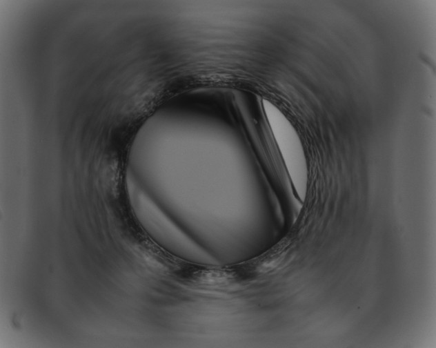 X0000092210223200710121136