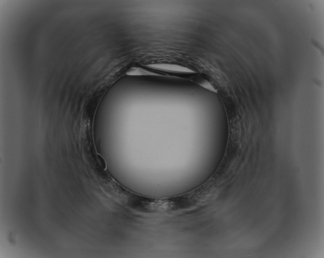 X0000092210225200710121135