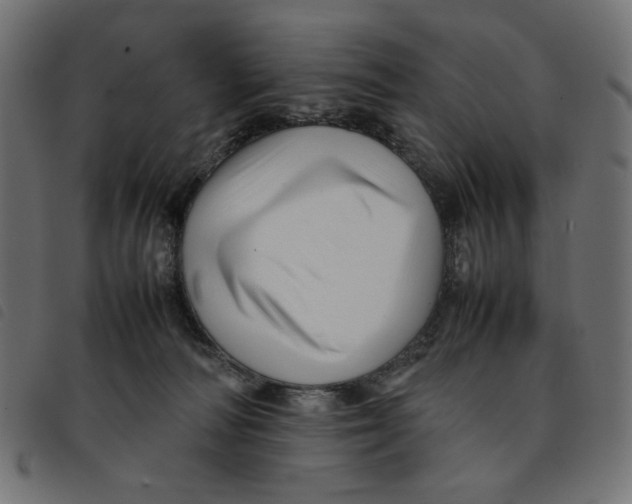 X0000092210226200710121135