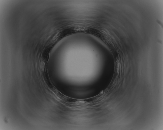 X0000092210227200710121135