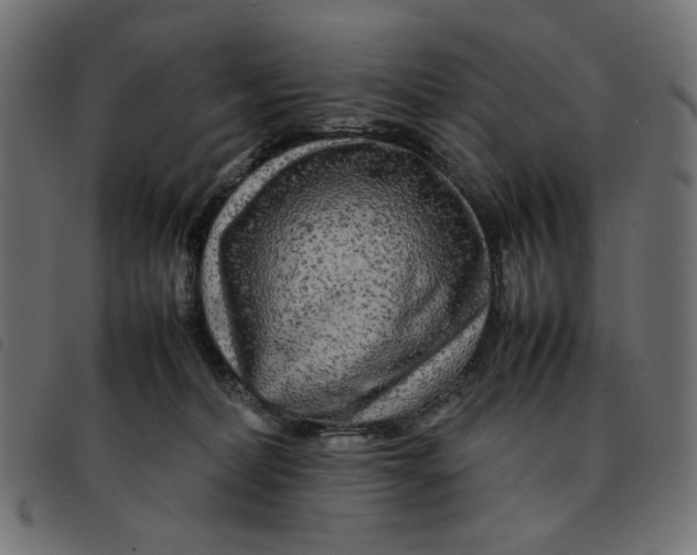 X0000092210228200710121135