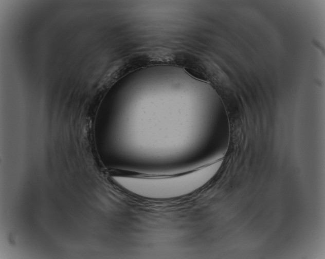 X0000092210229200710121135