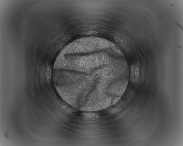 X0000092210230200710121135