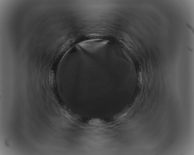 X0000092210231200710121135