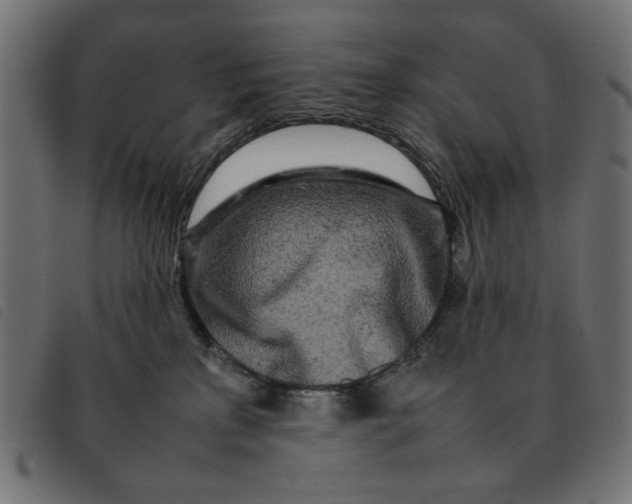 X0000092210233200710121135
