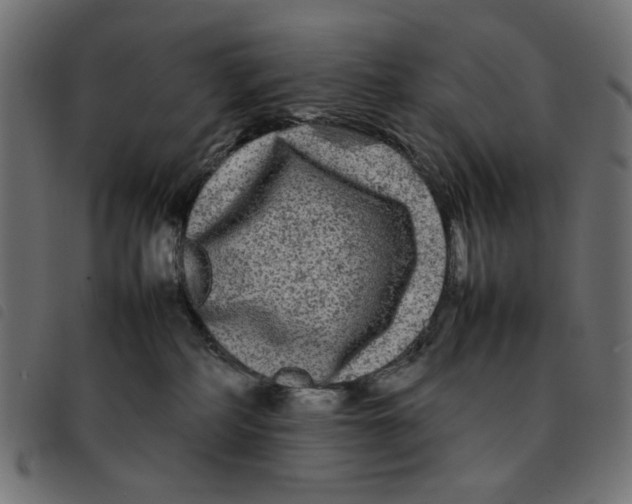 X0000092210234200710121135