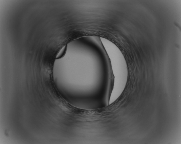 X0000092210235200710121135