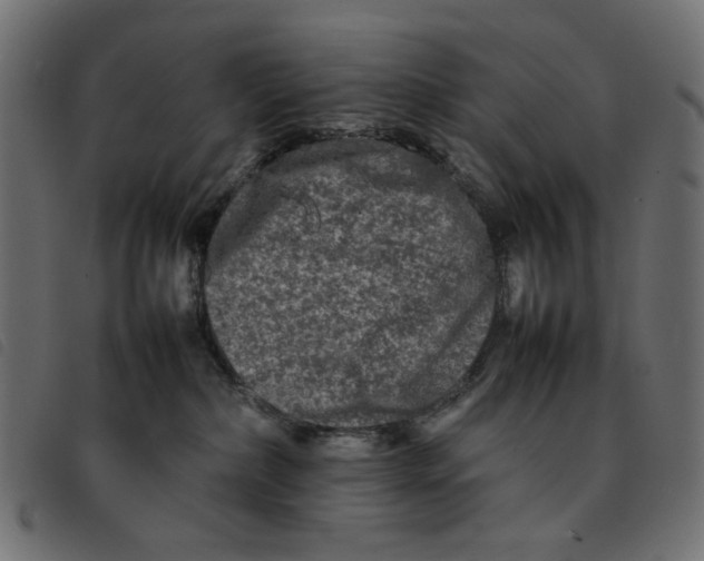 X0000092210236200710121135