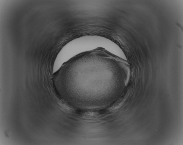 X0000092210237200710121135