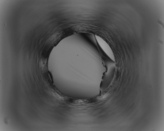X0000092210239200710121135