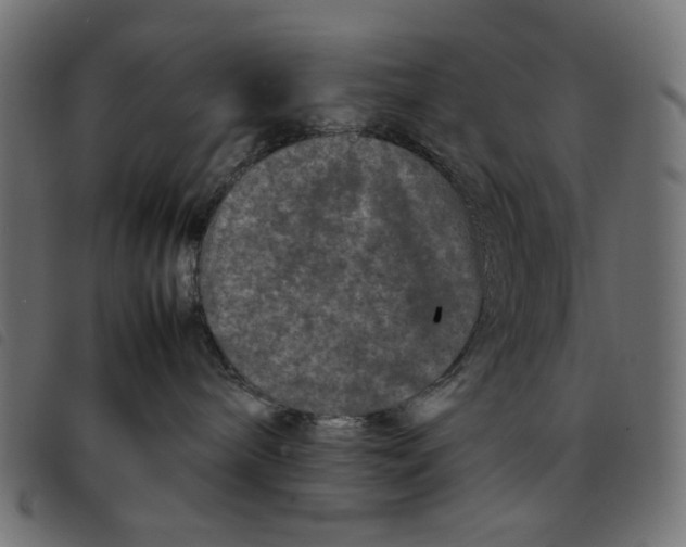 X0000092210240200710121135