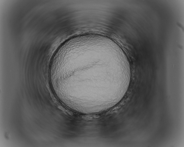X0000092210241200710121135
