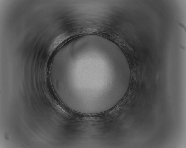 X0000092210242200710121135