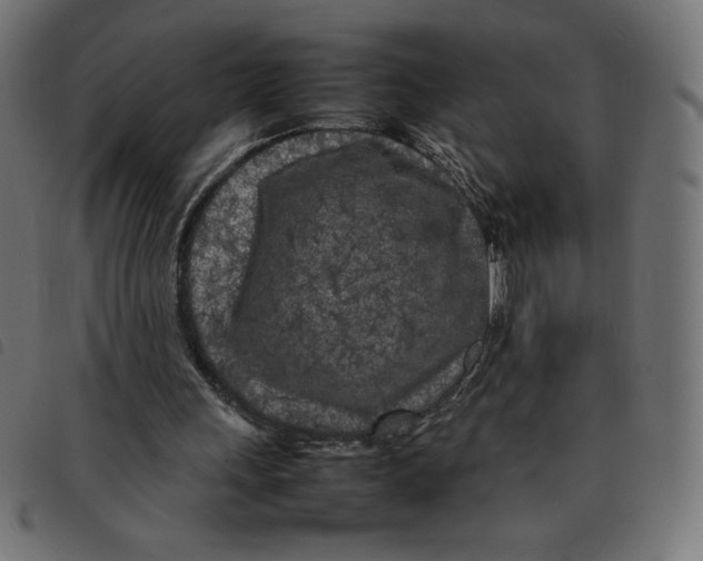 X0000092210243200710121135