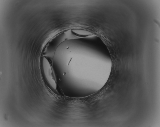 X0000092210244200710121135