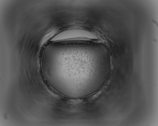 X0000092210245200710121135