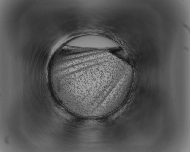 X0000092210246200710121135
