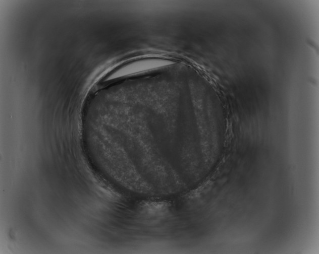 X0000092210247200710121135