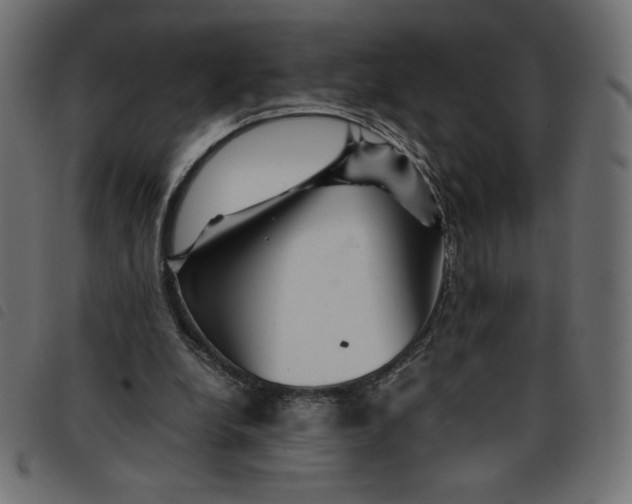 X0000092210248200710121135