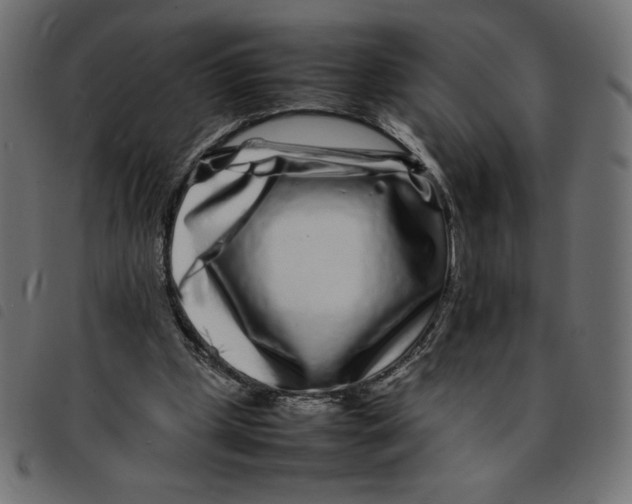 X0000092210249200710121135