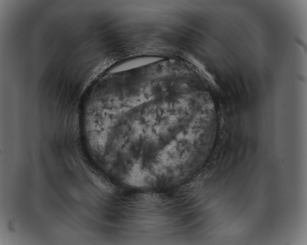 X0000092210250200710121135