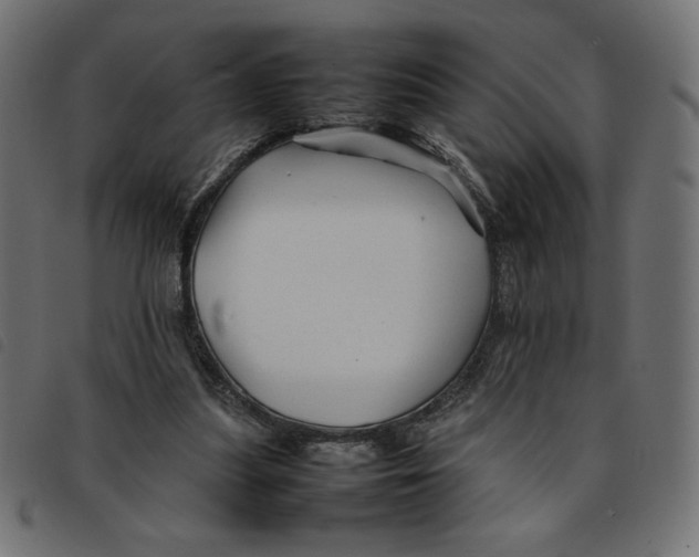 X0000092210251200710121135