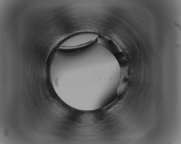 X0000092210252200710121135