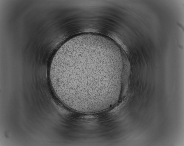 X0000092210253200710121135